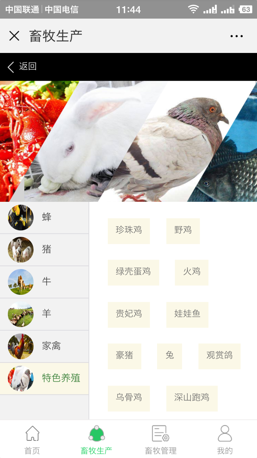 大数据 重庆大数据  畜牧大数据  农业大数据 畜牧溯源  溯源大数据