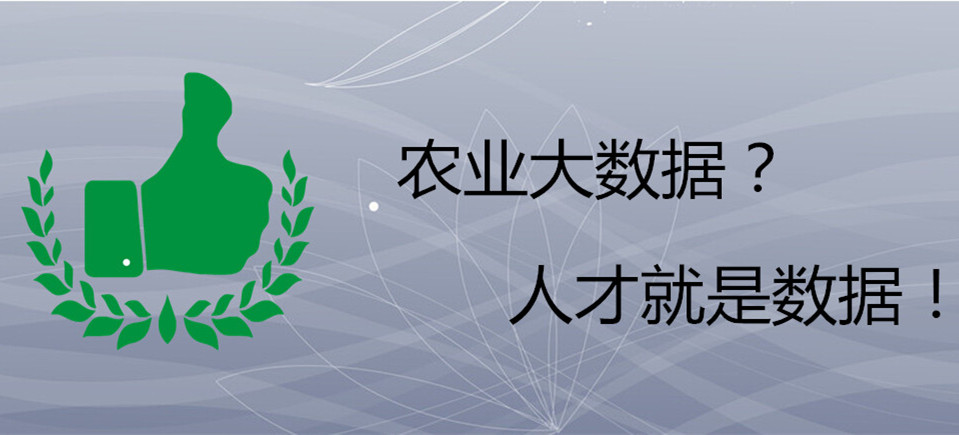 大数据 大数据技术 大数据公司 大数据项目 大数据前景 大数据可视化 农业大数据 农村电商大数据